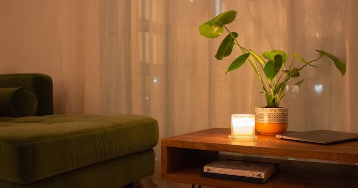 Warm and inviting living room with a candle, green sofa, and potted plant on a wooden table.