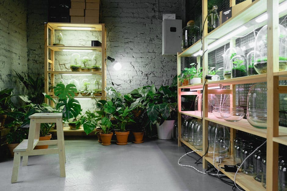 A cozy indoor plant room featuring shelves with grow lights and vibrant greenery.